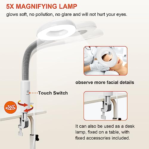 Professional Facial Steamer with 5X Magnifying Lamp