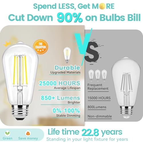 10 Pack Edison Bulbs 60W Equivalent (10 Count)
