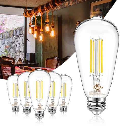 6 Pack Vintage LED Edison Bulbs (6 Count)