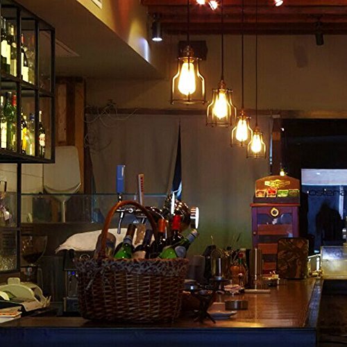 Dimmable Vintage Edison Bulb 4W
