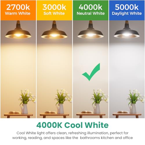 6 Pack A19 LED Light Bulbs (6 Count)