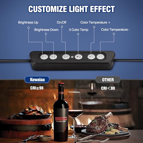 LED Video Light Kit