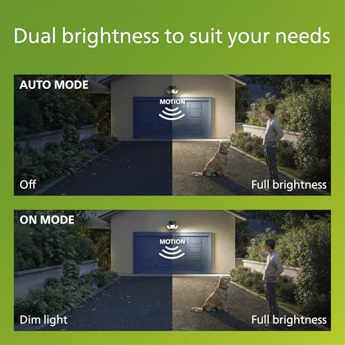 Zyren UltraEfficient Solar Security Light