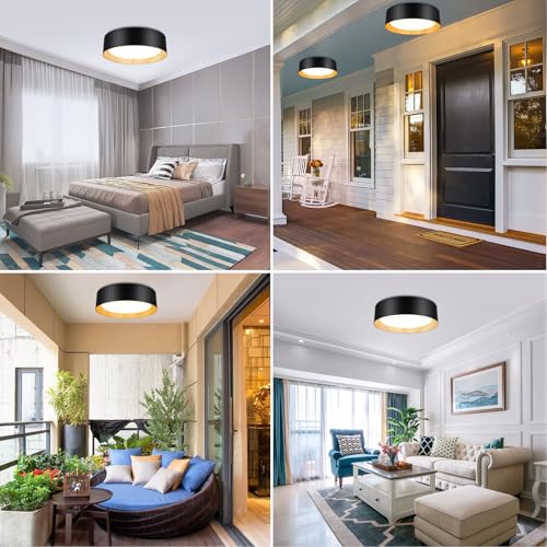 Flush Mount Ceiling Light