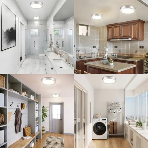 Flush Mount Ceiling Light Fixture (2 Count)