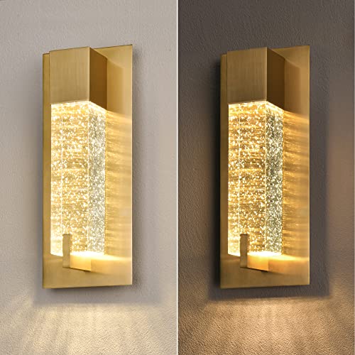 LED Wall Sconce Light