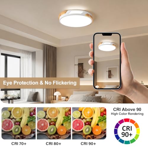 Modern LED Ceiling Light