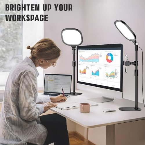2 Packs Video Conference Lighting Kits (2 Count)