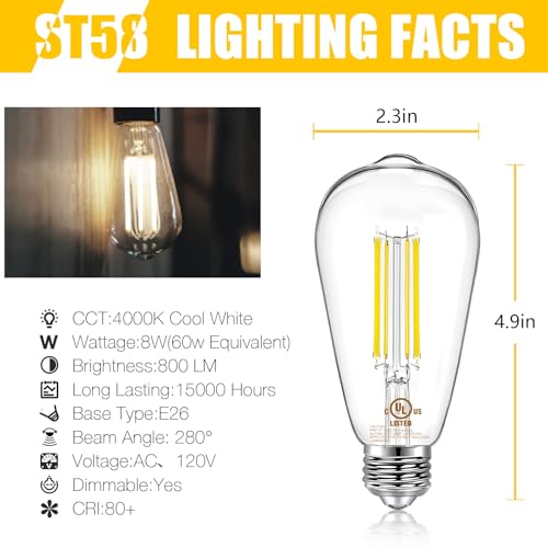 6 Pack Vintage LED Edison Bulbs (6 Count)
