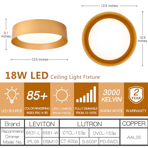Gold Flush Mount Ceiling Light
