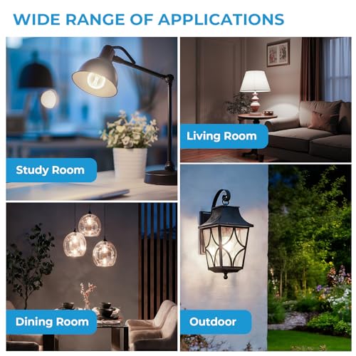 E26 G16.5 Edison Globe LED Bulb (12 Count)