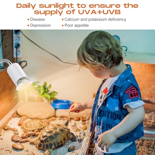 3 Set Reptile Heat Lamp UVA