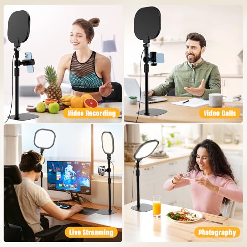Desk Ring Light with Stand and Phone Holder
