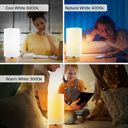 Minimalist Bedside Table Lamps for Bedrooms Set of 2 (2 Count)