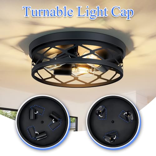 Flush Mount Ceiling Light Fixture
