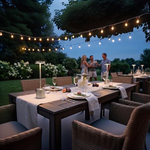 Silver Cordless Table Lamp 2Pack Rechargeable Portable Table Light