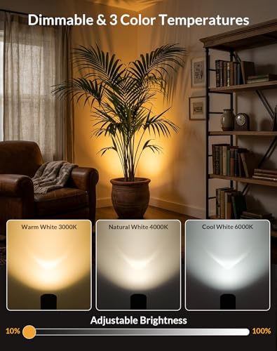 2 Pack Uplights Indoor Floor Can Lights (2 Count)