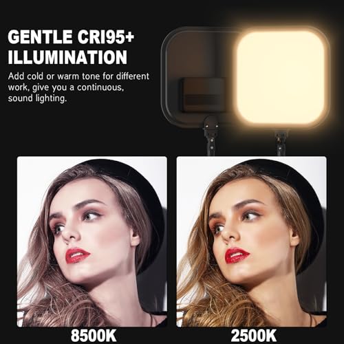 2Pack LED Video Light Kit (2 Count)
