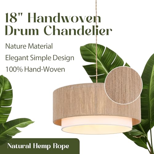 Plug in Pendant Light