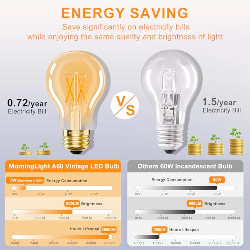 A19 Vintage LED Edison Light Bulbs 60 Watt (6 Count)