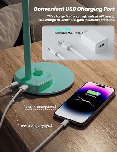 LED Desk Lamp with USB Charging Port