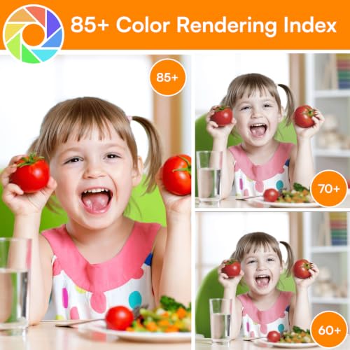 A19 LED Light Bulbs (24 Count)
