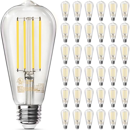 36 Pack Edison LED Light Bulbs (36 Count)