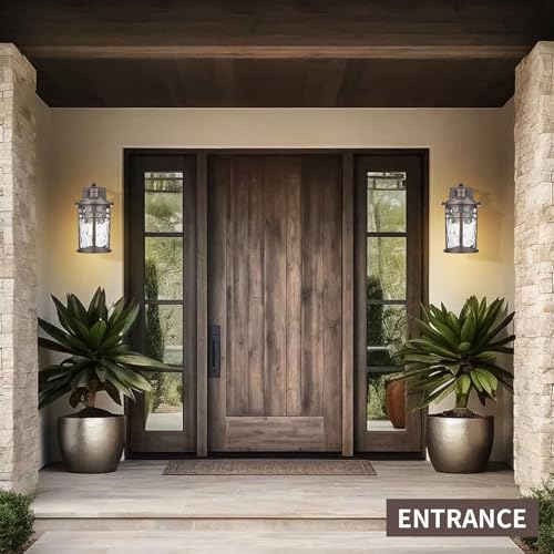 Outdoor Wall Light Fixture (2 Count)