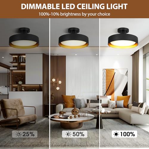 Semi Flush Mount LED Ceiling Light 5000K