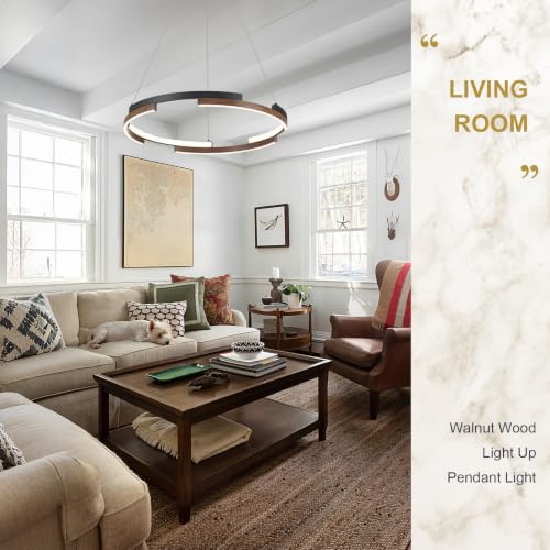 Modern LED Ring Chandeliers