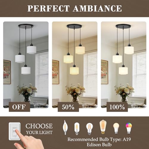 3 Light Pendant Lighting