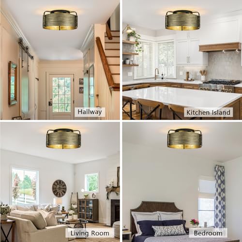 Flush Mount Ceiling Light