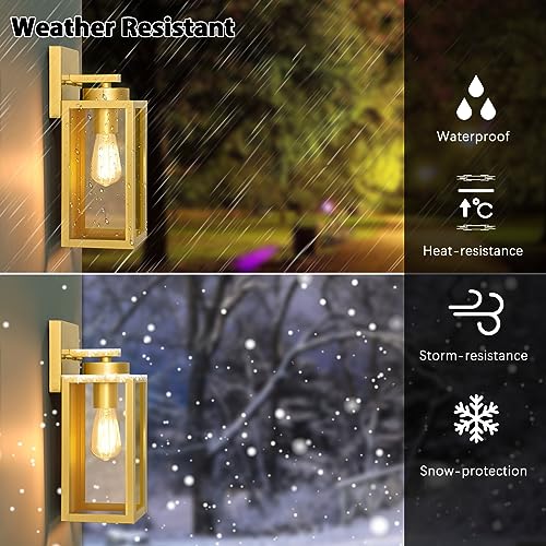 Outdoor Wall Light Fixtures (2 Count)