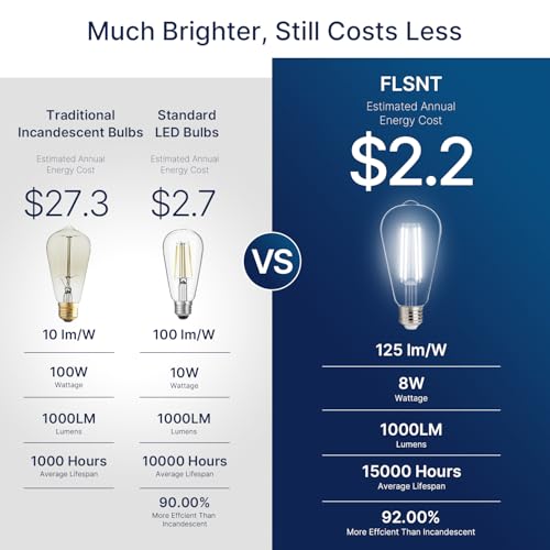 100W Equivalent LED Edison Bulbs (4 Count)