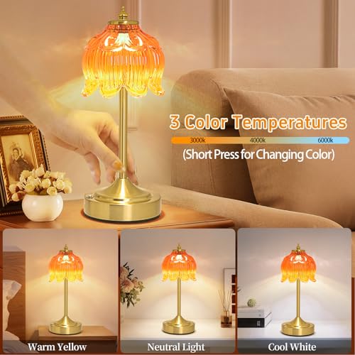 Cordless Table Lamp