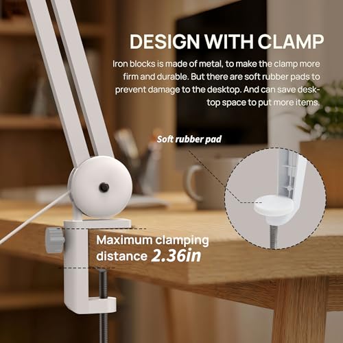 LED Desk Lamp with Clamp