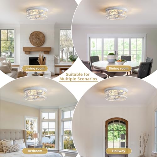 12.6" Gold Accent Flush Mount Ceiling Light (White+Gold)