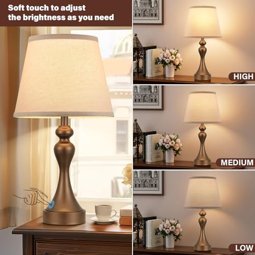 Touch Lamps for Nightstand (2 Count)