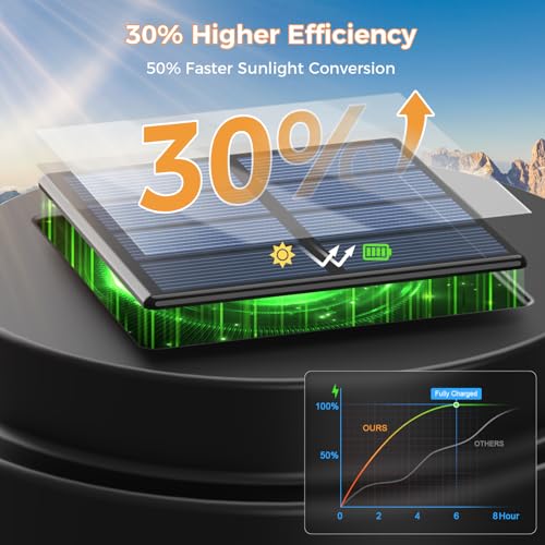Solar Pathway Lights