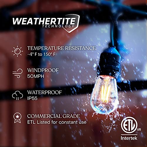 Ambience Pro 24 Ft Waterproof LED Outdoor String Lights (24 Foot)