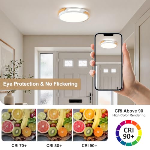 Modern LED Ceiling Light