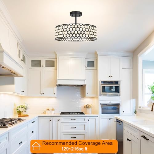 Black Crystal Ceiling Light Fixture