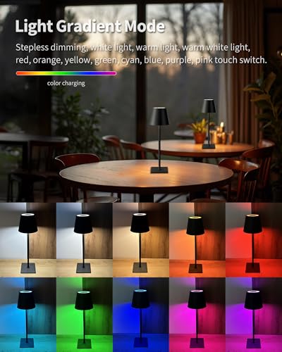 2 Pack Cordless Black Table Lamps (2 Count)