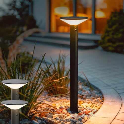 Premium Solar Pathway Lights Outdoor (2 Count)