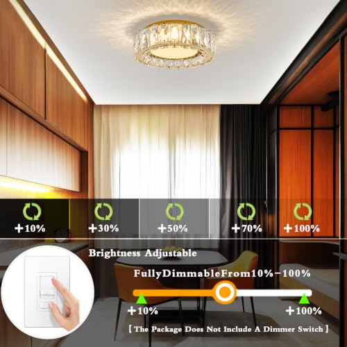 Dimmable Crystal Flush Mount Ceiling Light