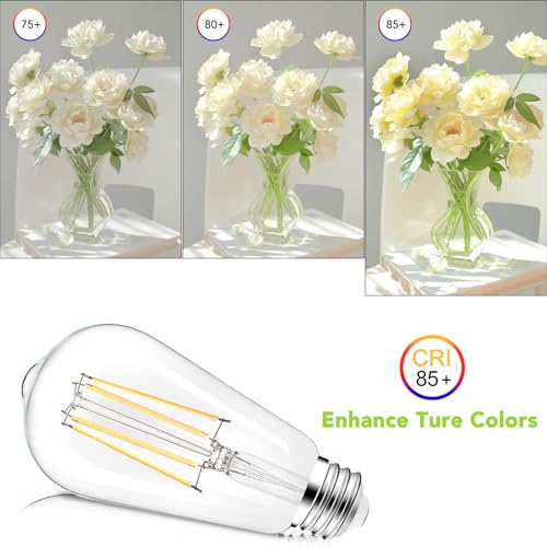 ST58 E26 LED Light Bulbs (12 Count)