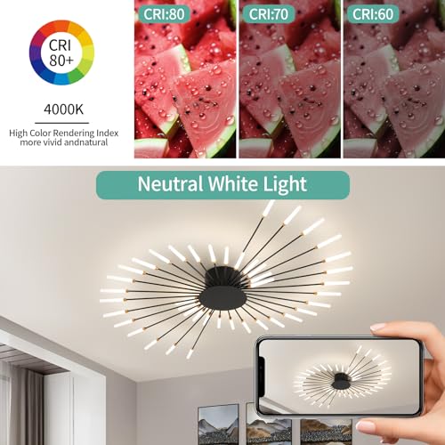 Modern Ceiling Light