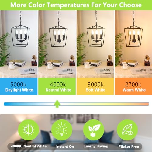 Dimmable E12 LED Candelabra Bulbs 60W Equivalent (12 Count)