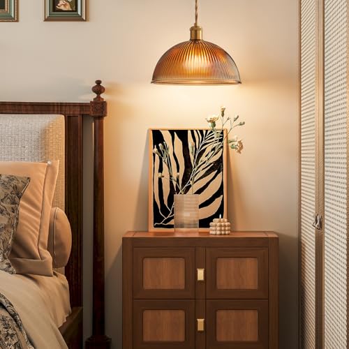 Plug in Pendant Light
