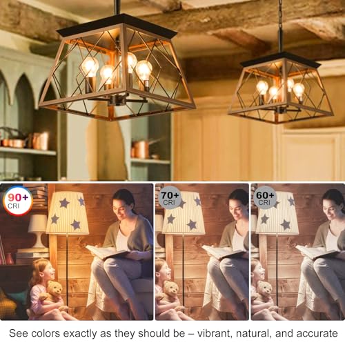 Dimmable A19 Vintage LED Edison Bulbs 60W (6 Count)
